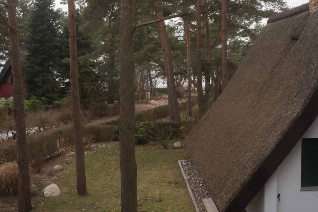 Reetdach-Ferienhaus In Quilitz Rankwitz Kültér fotó